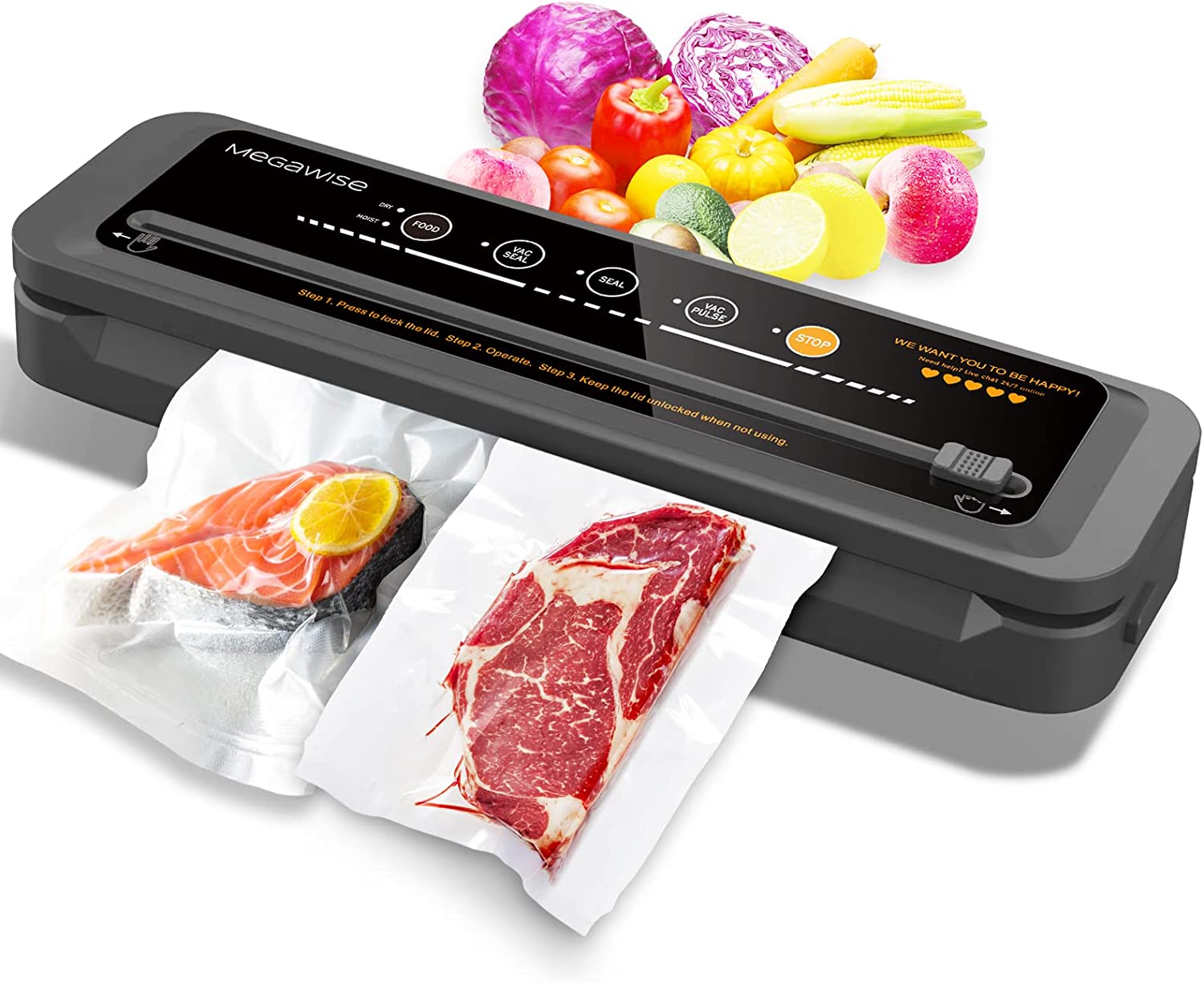 Mega Wise Vacuum Sealer