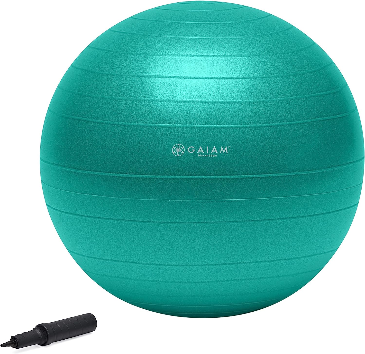 Gaiam Total Body Balance Ball Kit