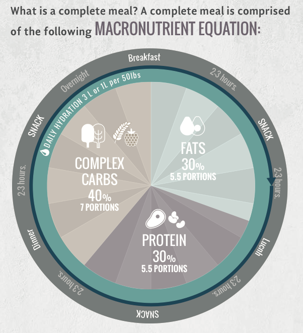 macronutrient equation