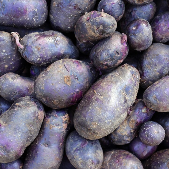 purple potatoes